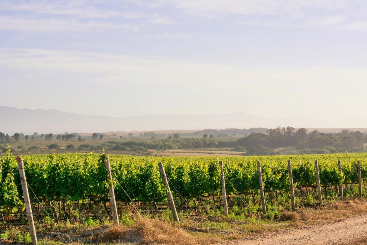 Strandveld Vineyards Cottages Elim  Exterior photo