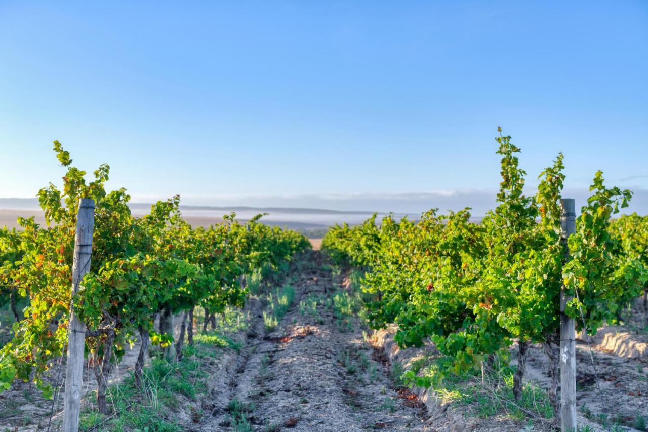 Strandveld Vineyards Cottages Elim  Exterior photo