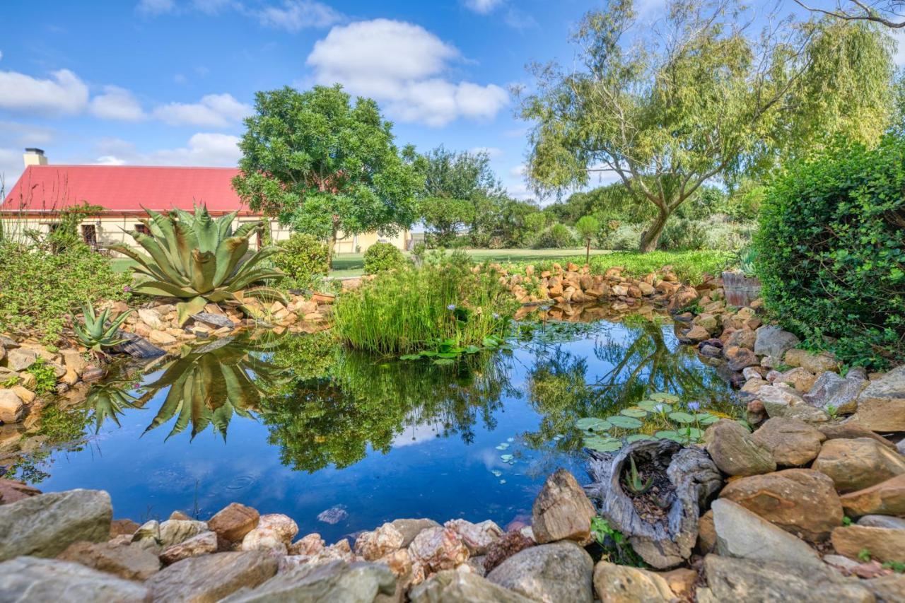 Strandveld Vineyards Cottages Elim  Exterior photo